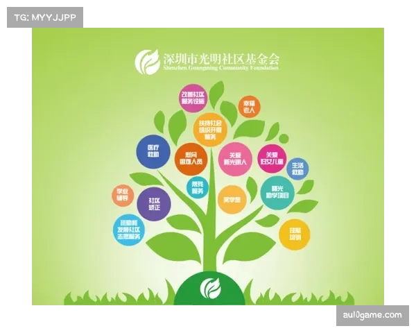 业余赛事可持续发展路径,商业与公益平衡 业余赛事可持续发展路径,商业与公益平衡