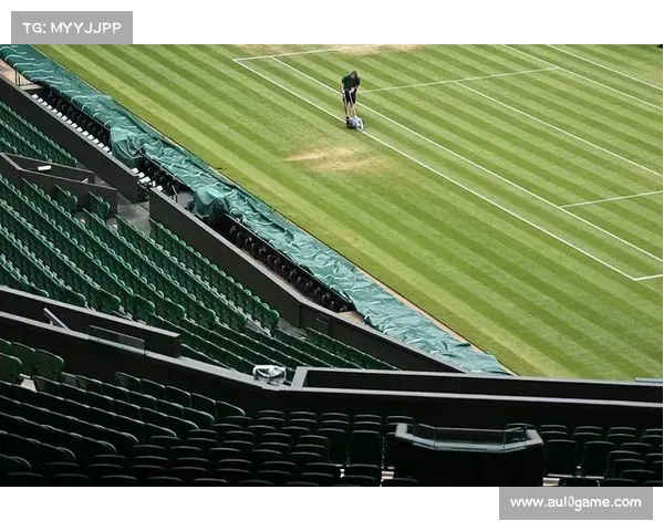 温网草地球场维护升级，组委会强调传统与科技结合