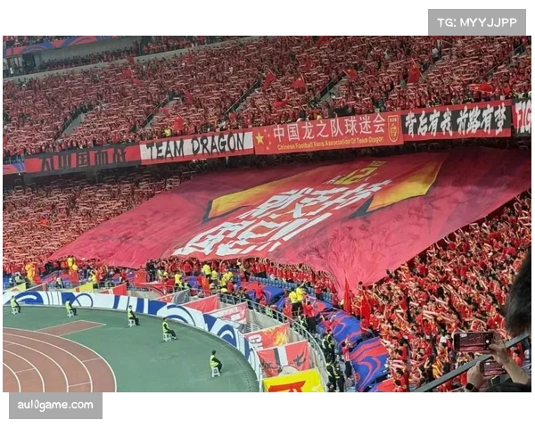 每年1.5至2亿欧元专项基金:足协呼吁税收减免支持球场建设 每年1.5至2亿欧元专项基金:足协呼吁税收减免支持球场建设